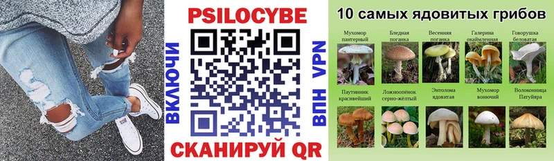 Галлюциногенные грибы мицелий  где продают   Краснознаменск 